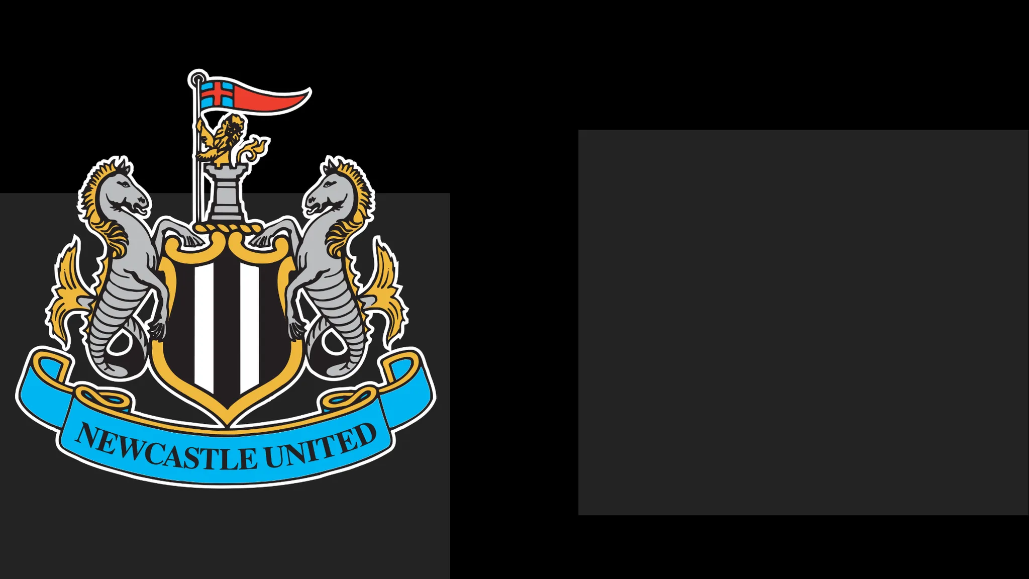 Newcastle's boss Praises Team's Heart – However It Only Takes Them This Far